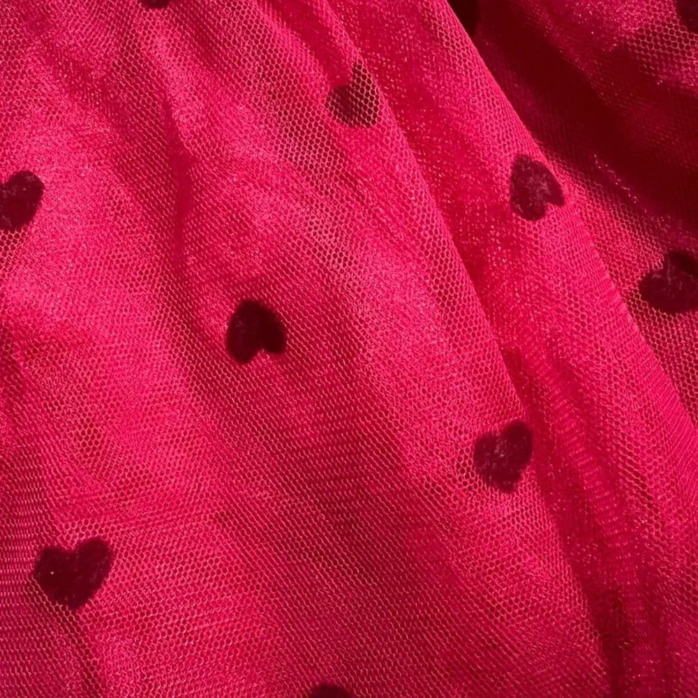 Baby Gap 12-18m Red Heart Tulle Skirt